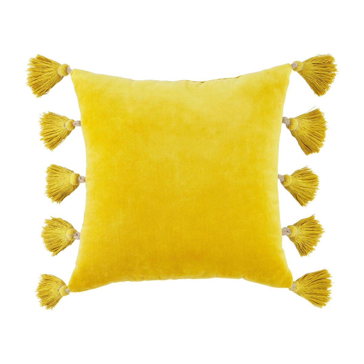 Velvet Tassel Pillows