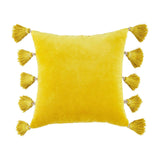 Velvet Tassel Pillows