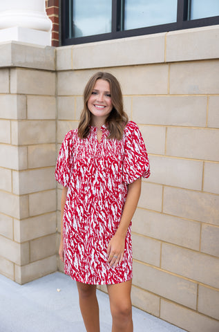 Amelia Dress | Crimson & White