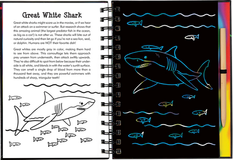 Scratch & Sketch | Sharks