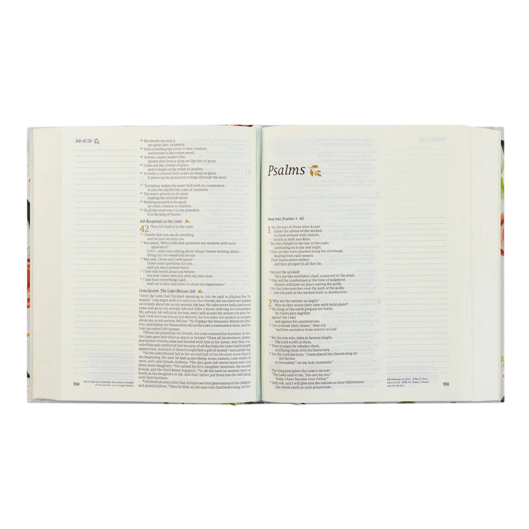 Loveland | NLT Notetaking Bible