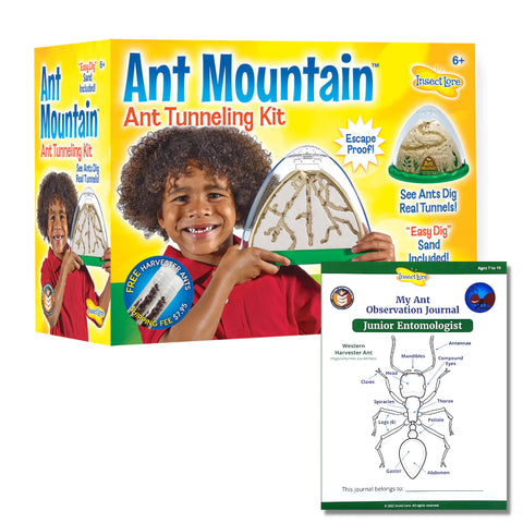 Ant Mountain with Prepaid Voucher