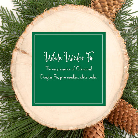 White Winter Fir | Scentsicles Scented Ornaments