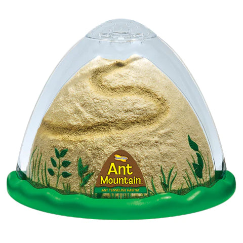 Ant Mountain with Prepaid Voucher
