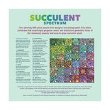 Succulent Spectrum Puzzle