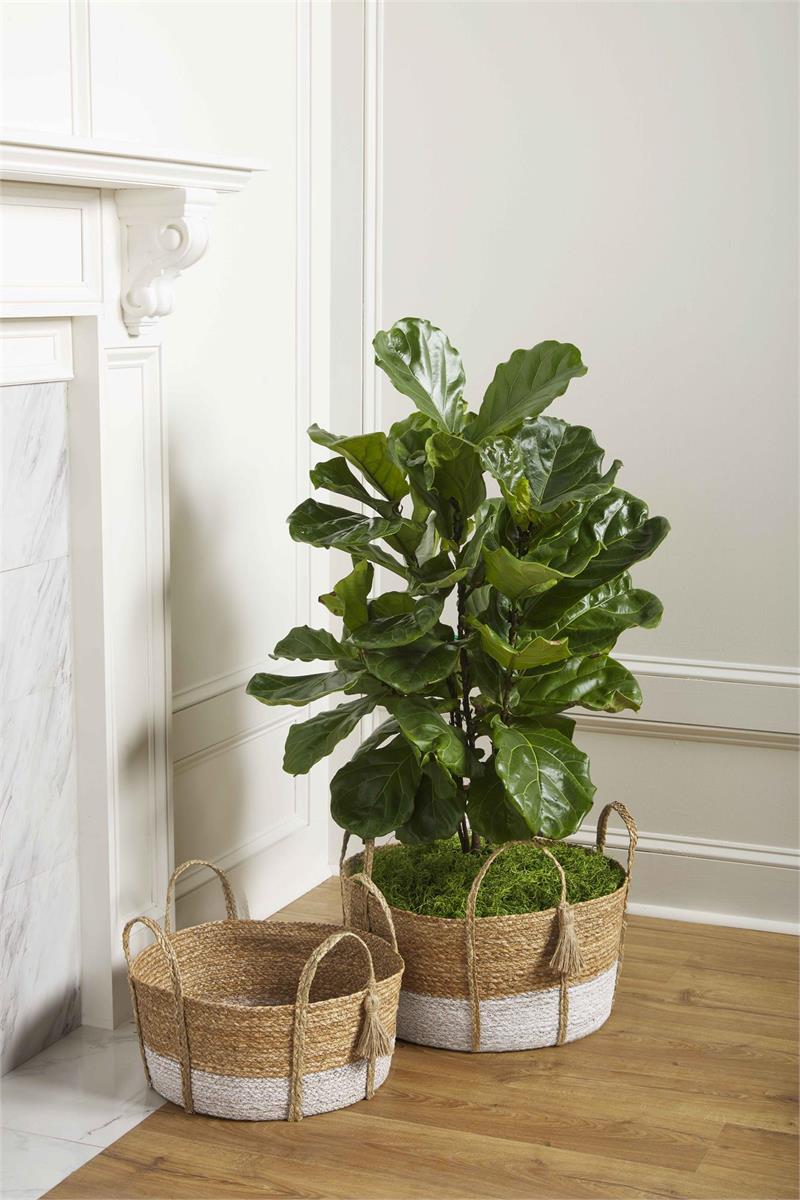 Seagrass Baskets