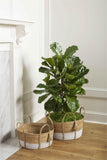 Seagrass Baskets
