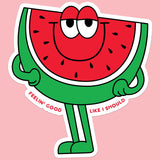 Funny Car Sticker Decal
